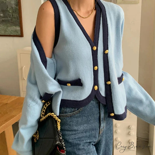 Spring V-neck Full Sleeve Knit Cardigan Blue / One Size cardigans-241228