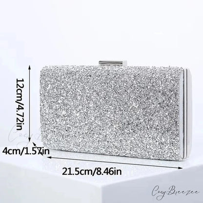 Square Women’s Party Evening Clutch Bag SILVER / (20cm clutchbag-250126