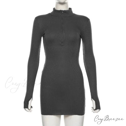 Stretch Ribbed Knitted Turtleneck Mini Dress