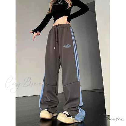 Striped Cargo Sweatpants Casual Pants Gray / M pants-241228