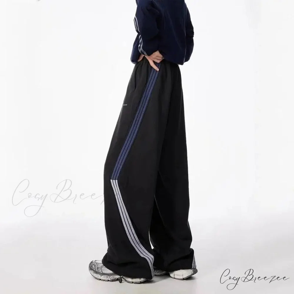 Striped Drawstring Vintage High Waist Pants pants-241228