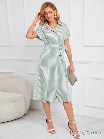 Striped Dress with Belt - Lapel V-Neck