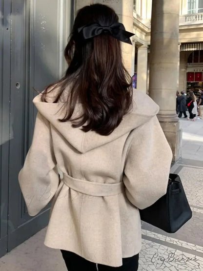 Stylish Brown Wool Hooded Coat overcoats-241228