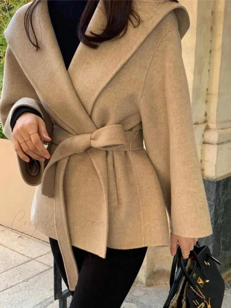 Stylish Brown Wool Hooded Coat overcoats-241228