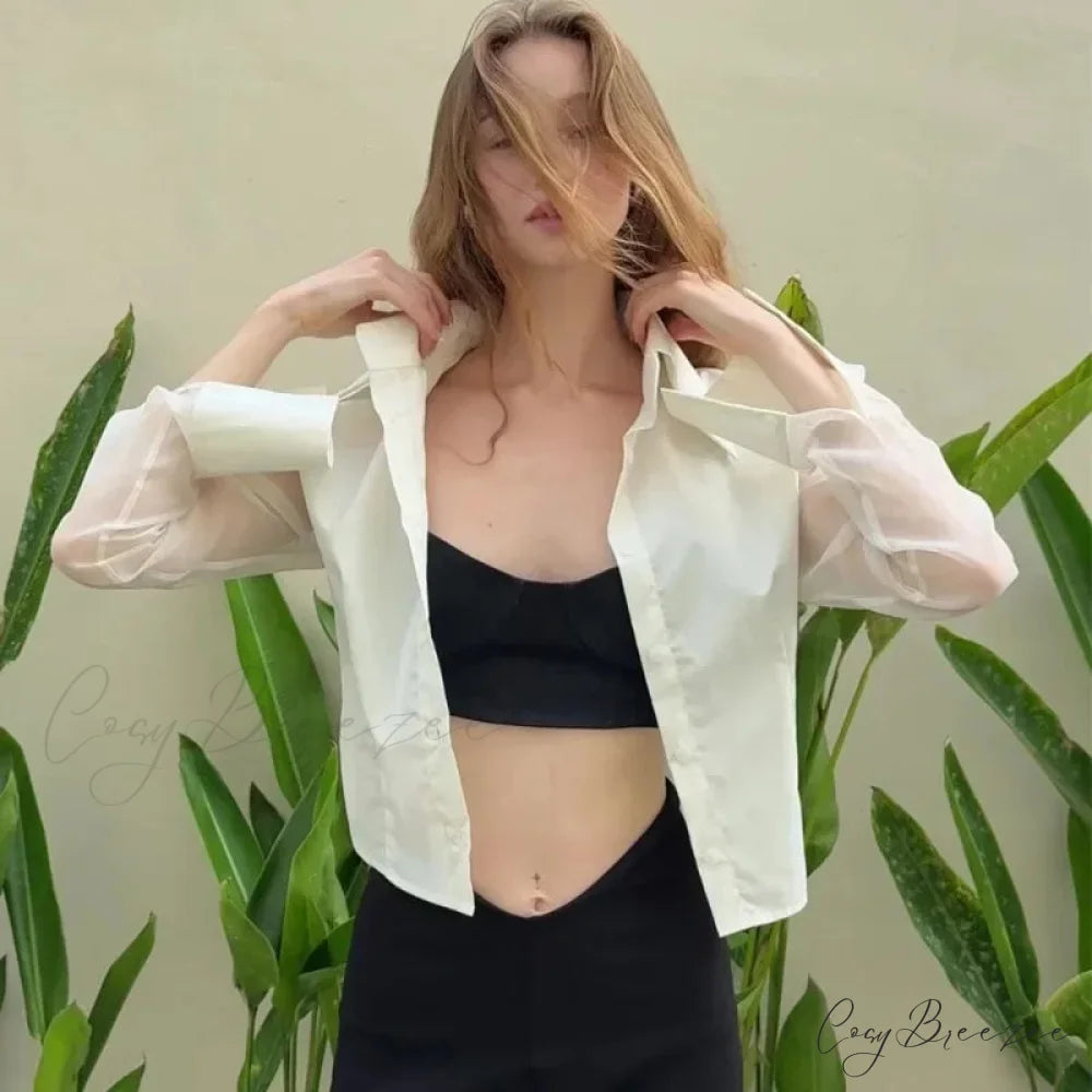 Summer Transparent Slim Fit Shirt blouse-250223
