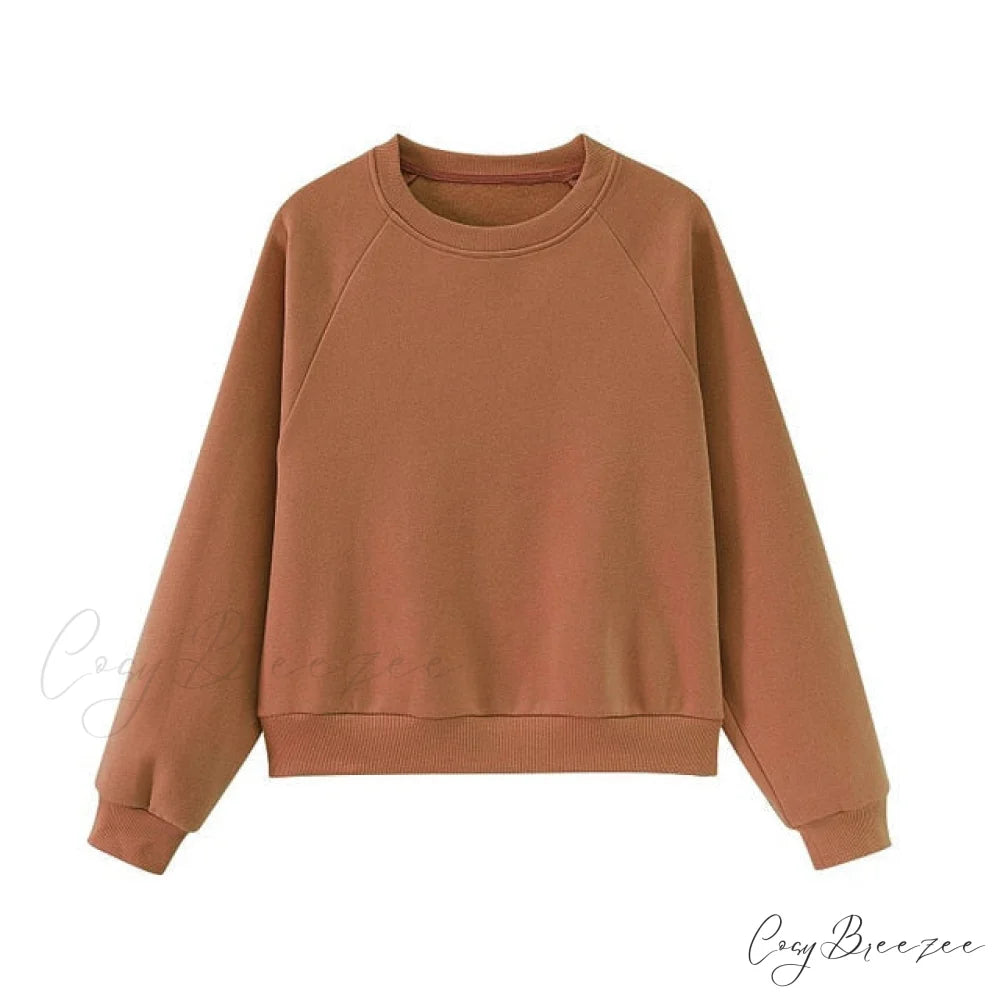 Sweatshirts Jackets Womens Winter Hooded Hoodies Fleece Oversize Solid Tracksuits Unisex Autumn Pullovers Couple CH003