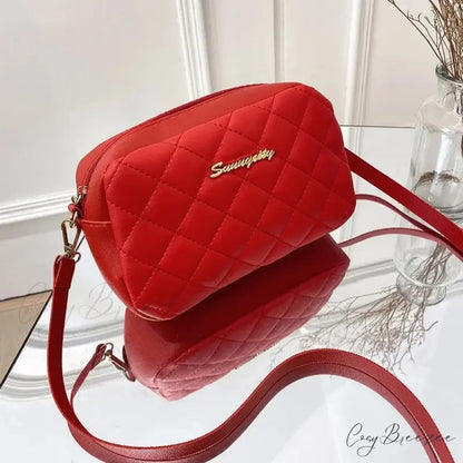 Tassel Embroidery Camera Crossbody Bag Red crossbody-250126