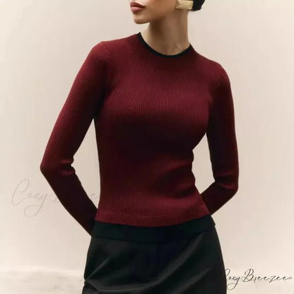 Tight Slim Long Sleeve O-neck Sweater swraters-241228