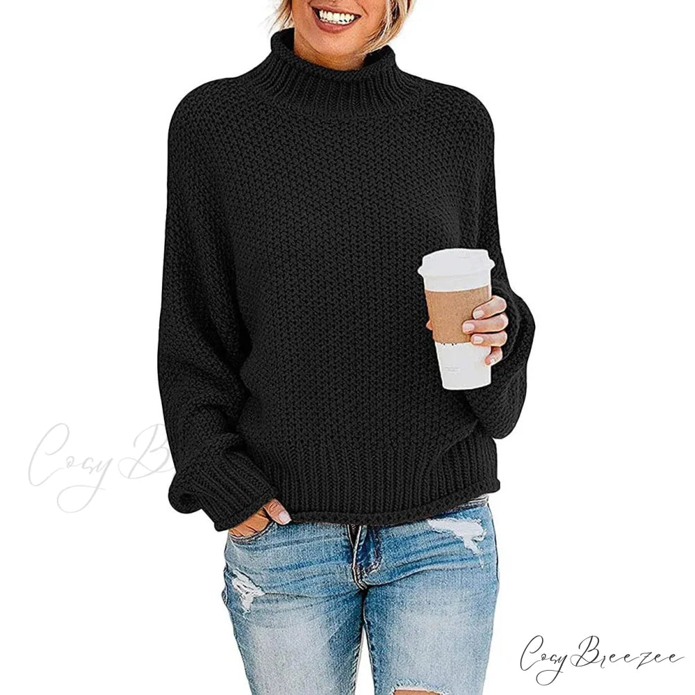 Tops Arm Oversized Knitted Sweater Batwing for Turtleneck Pullover Women Black / S