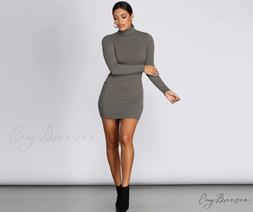 Turtleneck Long Sleeve Charming Ribbed Knit Mini Dress