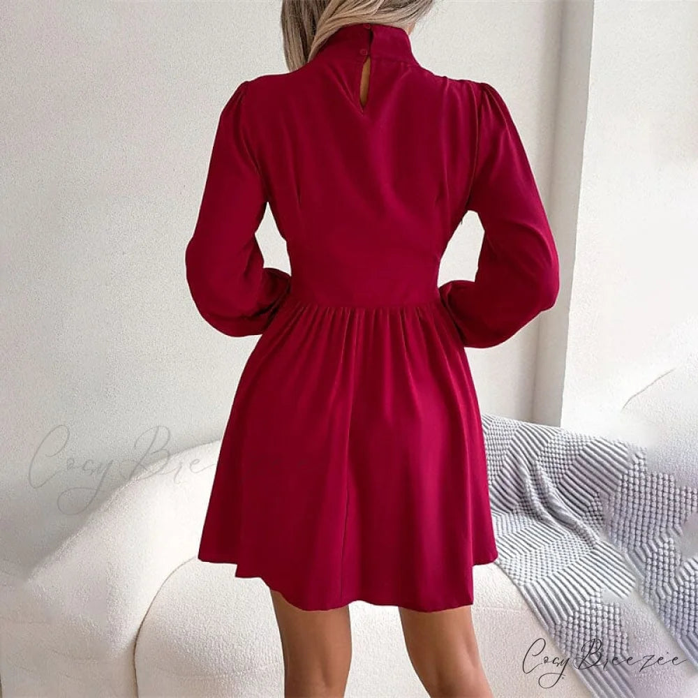 Turtleneck Mini Dress for Women