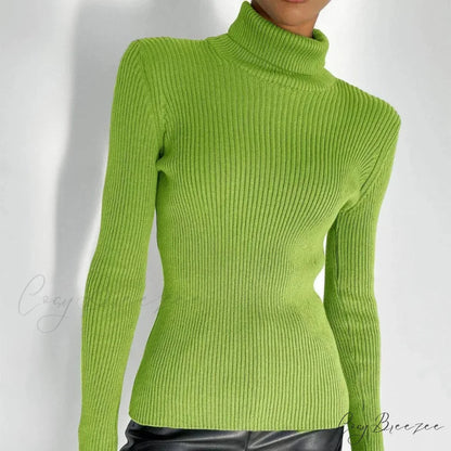Turtleneck Slim Pullover Long Sleeve Sweater Green / M swraters-241228