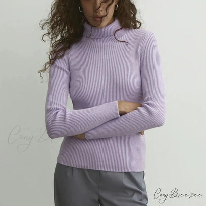 Turtleneck Slim Pullover Long Sleeve Sweater PURPLE / M swraters-241228