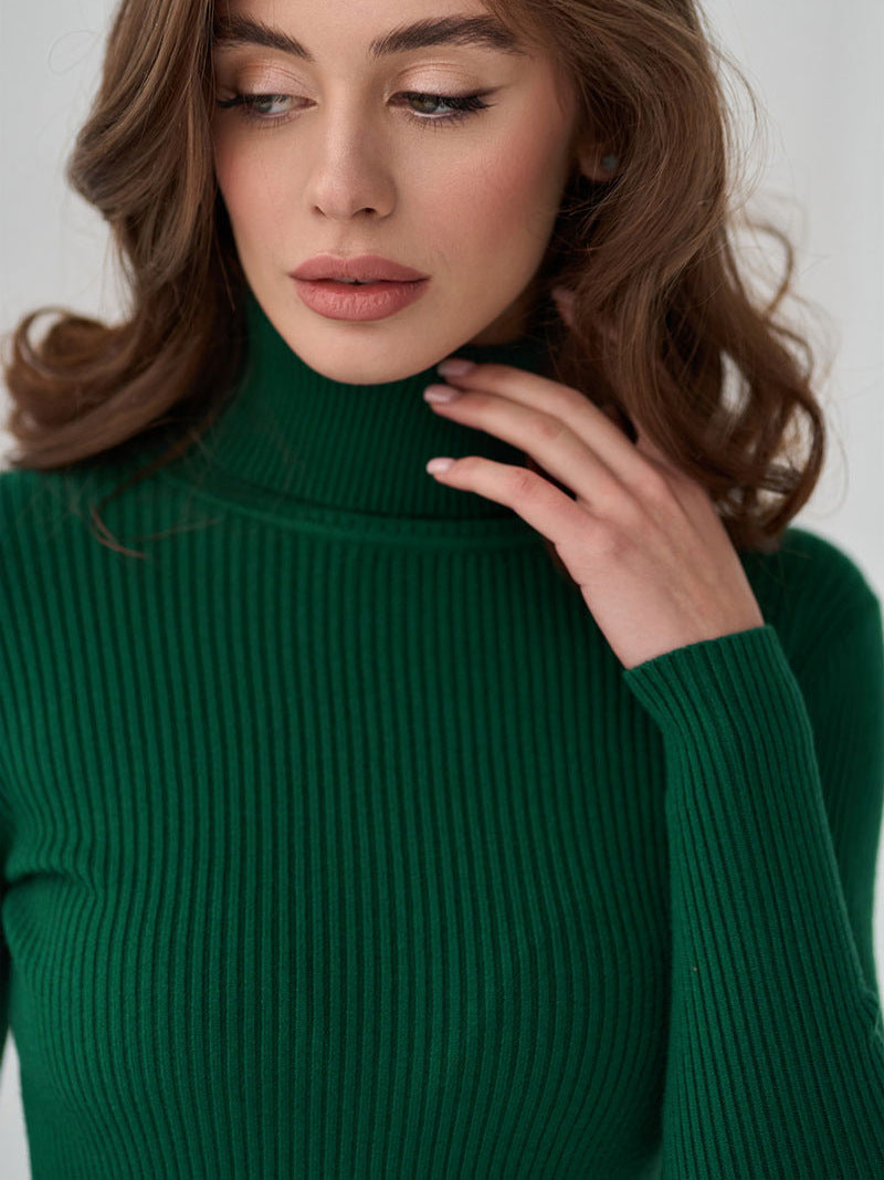 Lisa Turtleneck Women Sweater