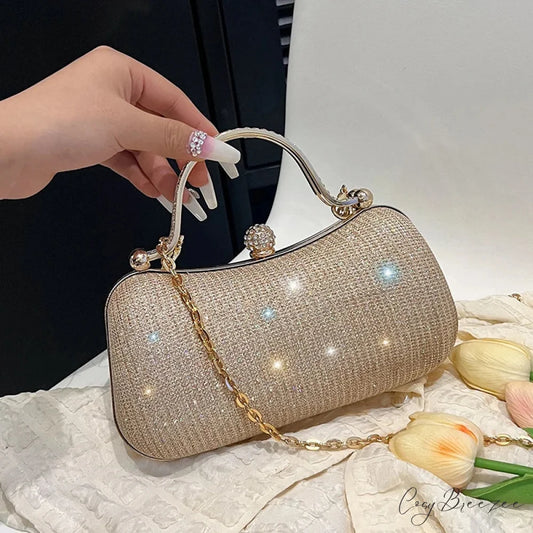 Vintage Chain Evening Shoulder Clutch Bag Gold / (20cm clutchbag-250126