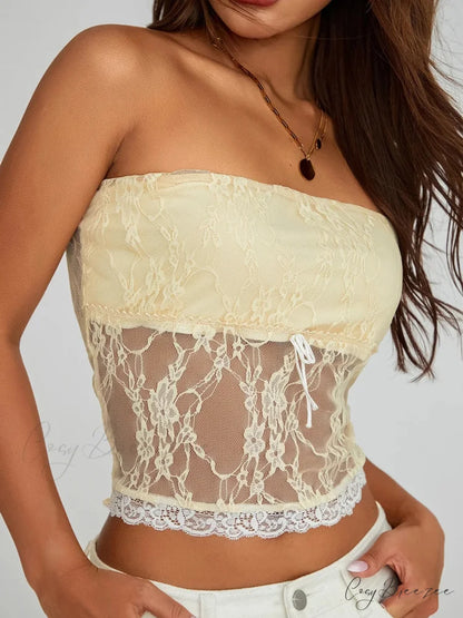Vintage Embroidered Floral Off-shoulder Sheer Bandeau Top croptop-250126
