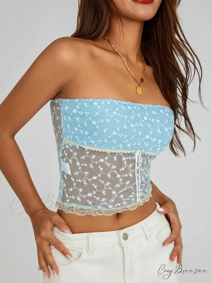 Vintage Embroidered Floral Off-shoulder Sheer Bandeau Top croptop-250126