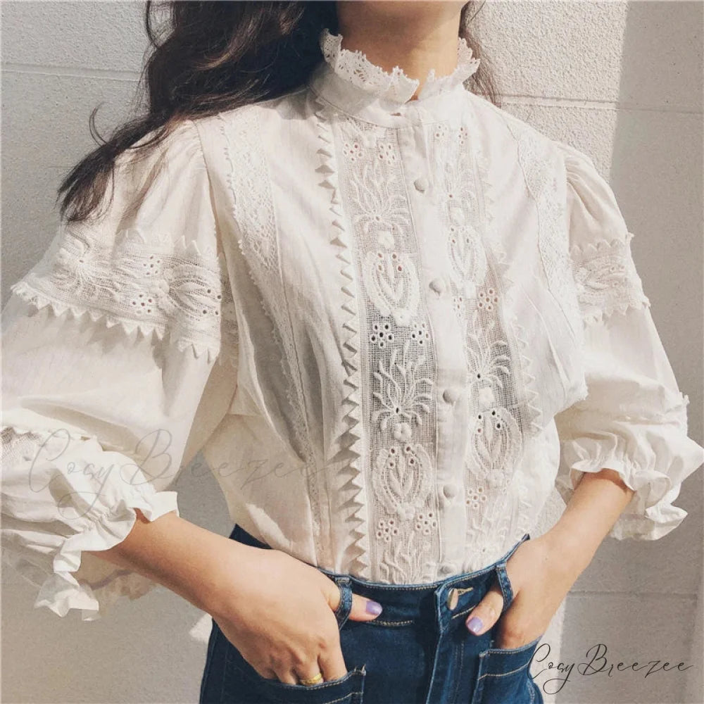 Vintage Floral Embroidery Cotton Linen Lantern Sleeve Blouse bohoblouse-250126
