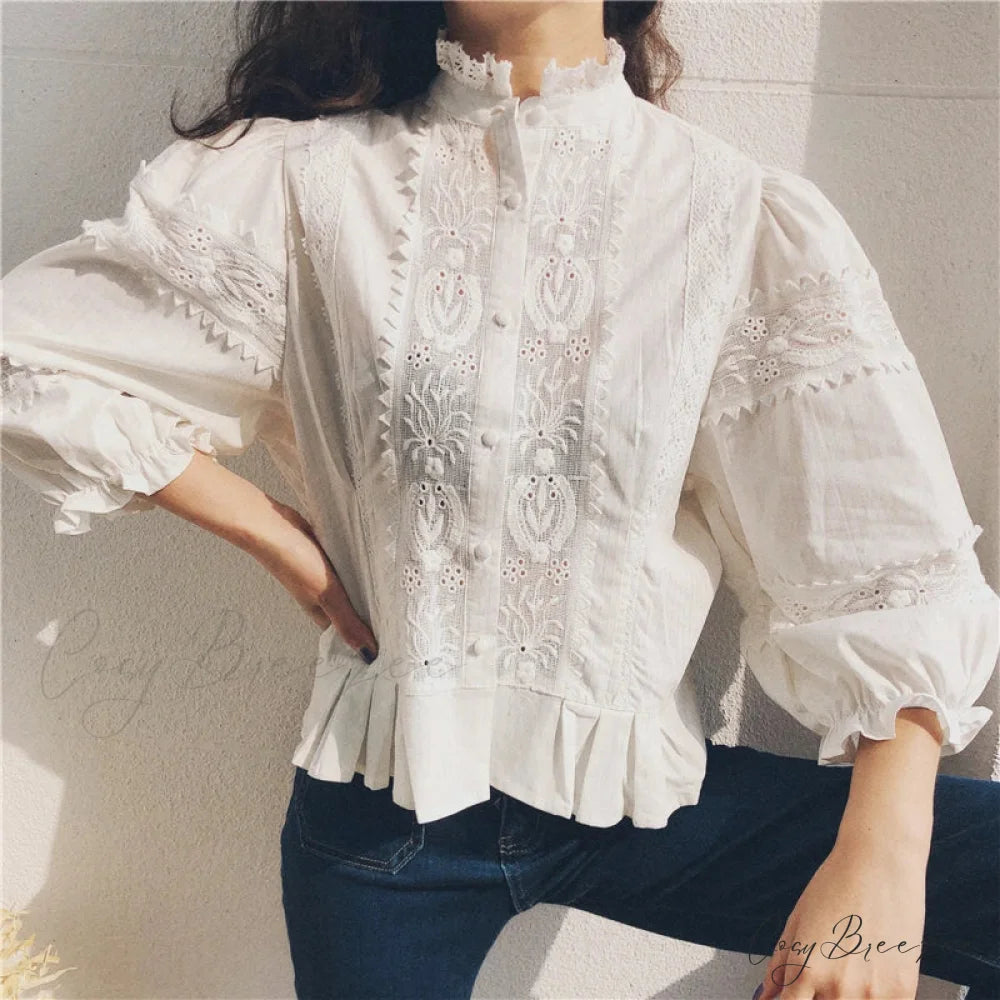 Vintage Floral Embroidery Cotton Linen Lantern Sleeve Blouse bohoblouse-250126