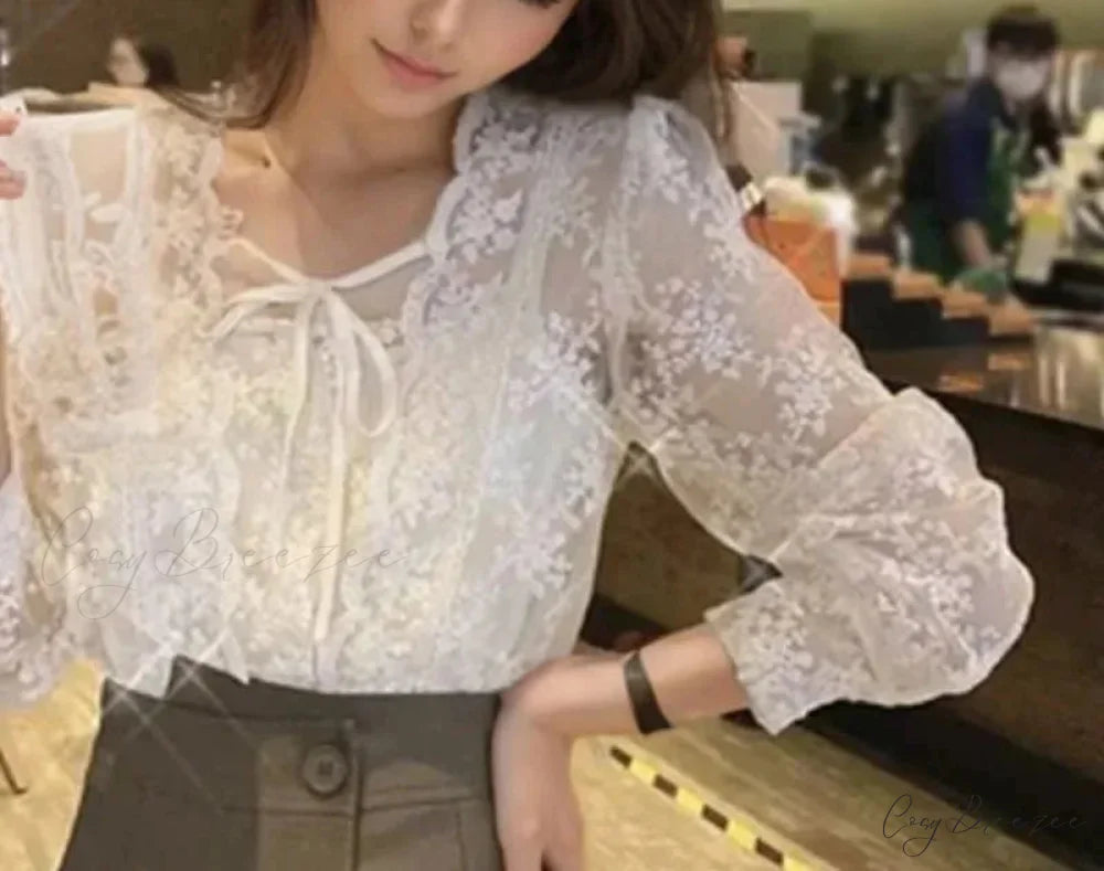 Vintage Lace Puff Long Sleeve Crochet Crop Top blouse-250126