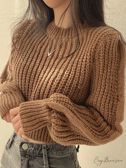 Vintage Lantern Long Sleeve Sweater Brown / One Size swraters-241228