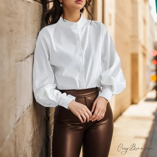 Vintage Lantern Sleeve Loose Stand Collar Crop Top blouse-250126