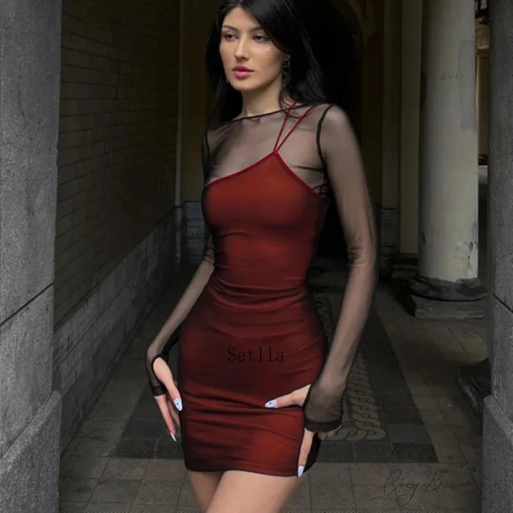 Vintage Mesh Sheer Long Sleeve Mini Dress