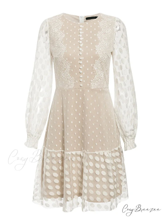 Vintage Polka Dot Short Dress with Embroidery Long Sleeves and Sexy Mesh Lace