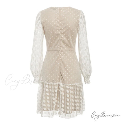 Vintage Polka Dot Short Dress with Embroidery Long Sleeves and Sexy Mesh Lace