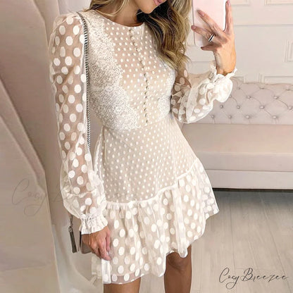 Vintage Polka Dot Short Dress with Embroidery Long Sleeves and Sexy Mesh Lace