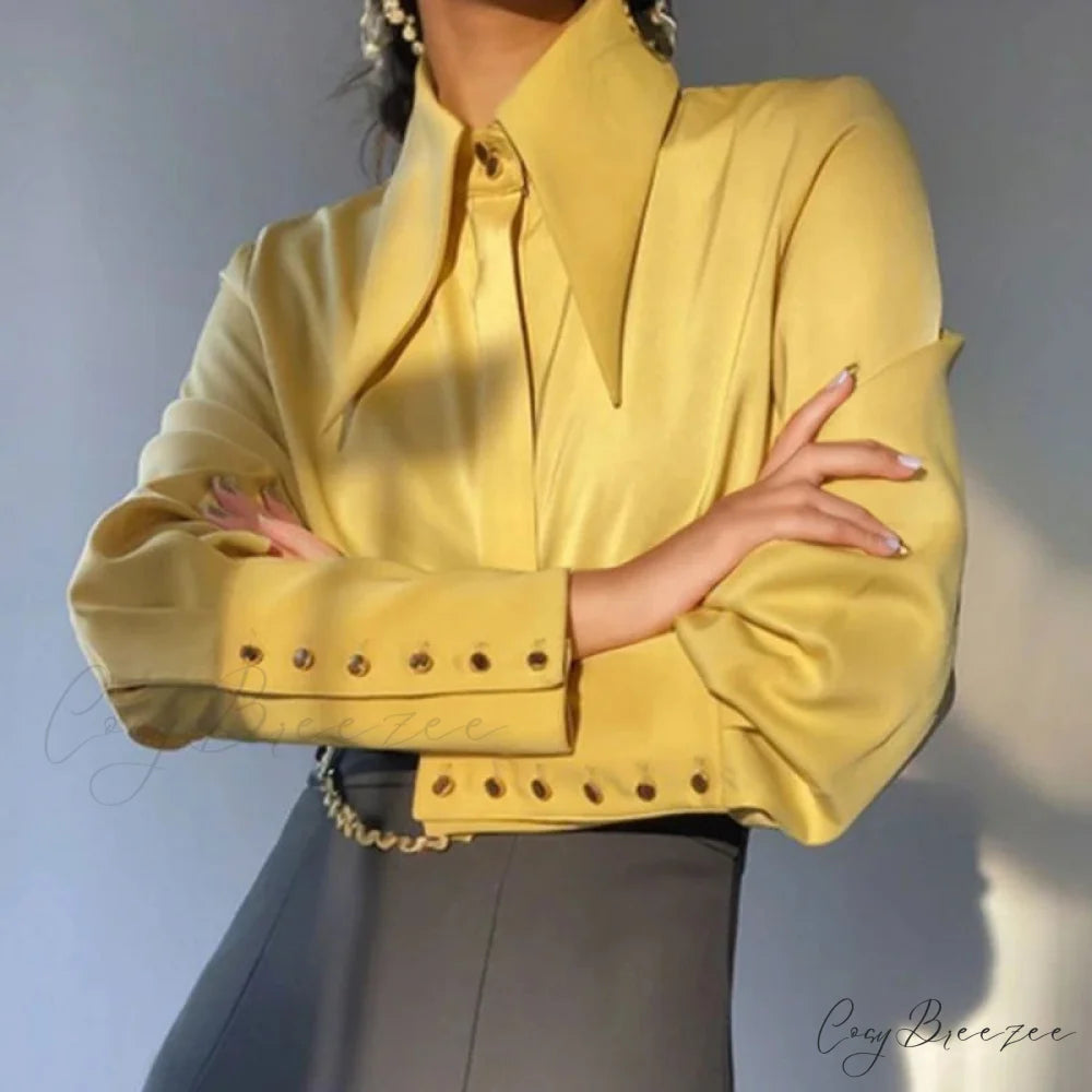 Vintage Satin Silk Turn Down Collar Crop Top blouse-250126