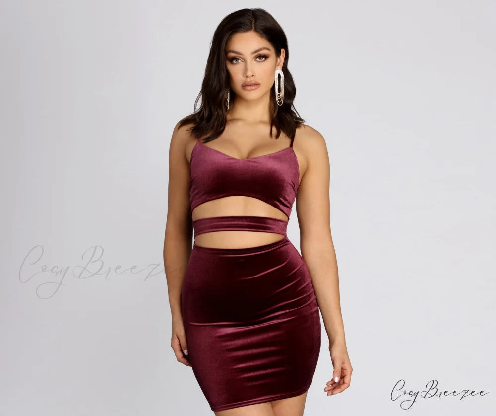 Visions Of Stylish Velvet Mini Dress BERRY / XS