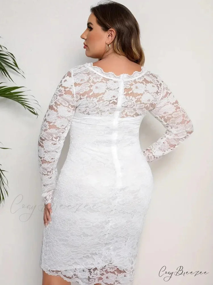 White Lace Long Sleeve Bodycon Dress - Plus Size 2XL / White
