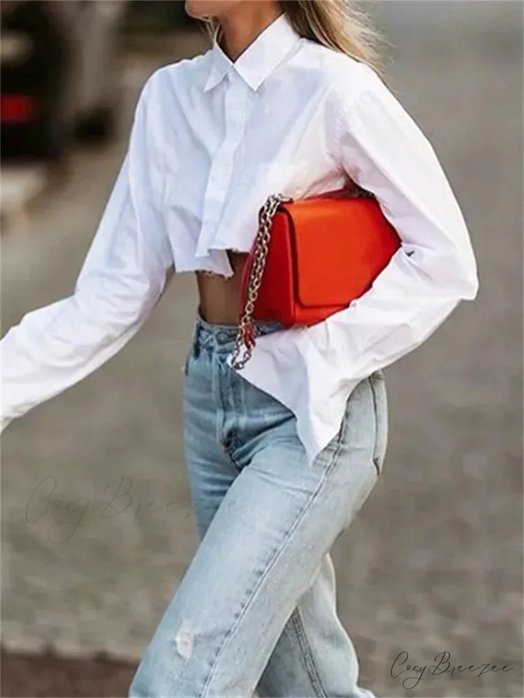 White Long Sleeve Turn Down Collar Cropped Crop Top blouse-250126