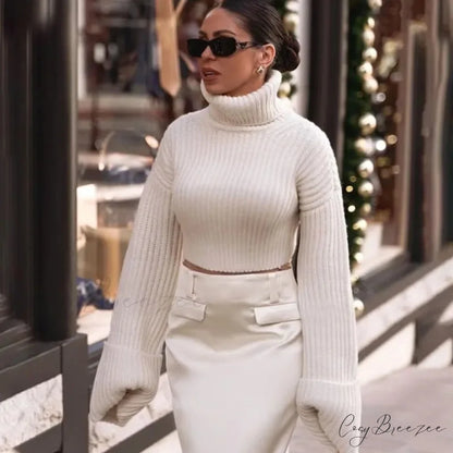 Winter Lapel Short Sweater swraters-241228