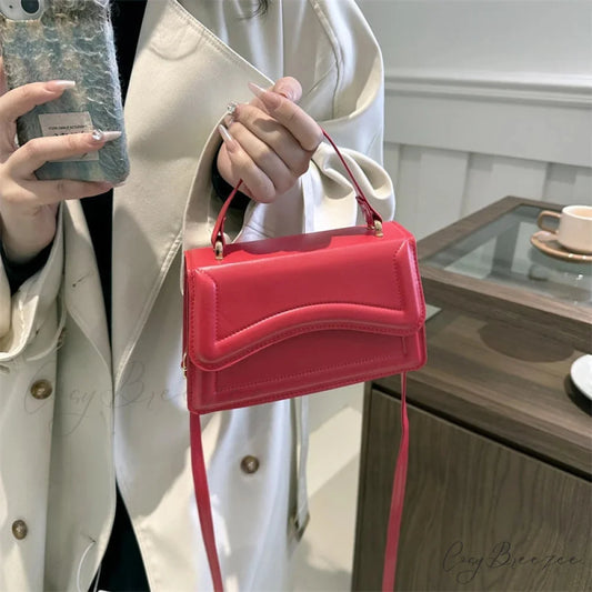 Winter Plush Small Square Crossbody Handbag handbag-250126