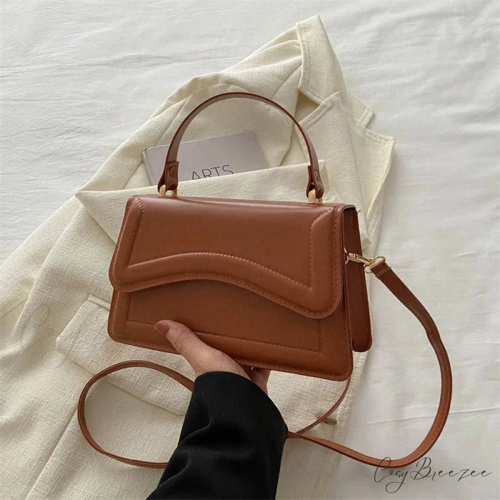 Winter Plush Small Square Crossbody Handbag Brown handbag-250126