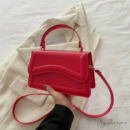 Winter Plush Small Square Crossbody Handbag RoseRed handbag-250126
