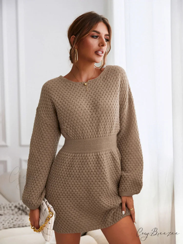 Woman Casual Long Sleeve Long Sweater Dress CAA06C2J001HH / XS