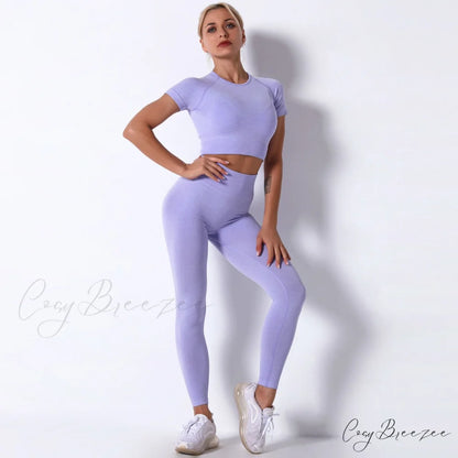 Women Seamless Sports Fitness Tracksuit Running Leggings Purple / S