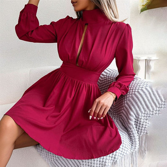 Turtleneck Mini Dress for Women