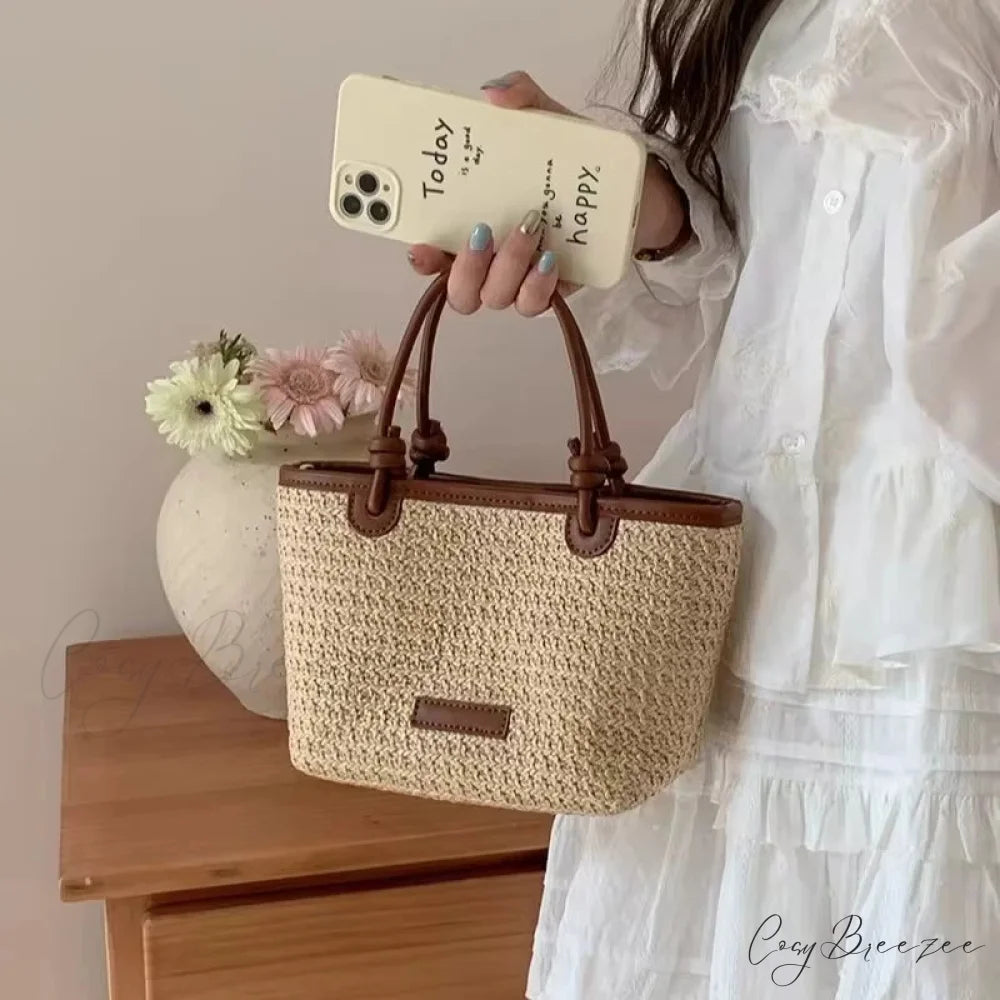 Woven Straw Summer Crossbody Bag Brown crossbody-250126