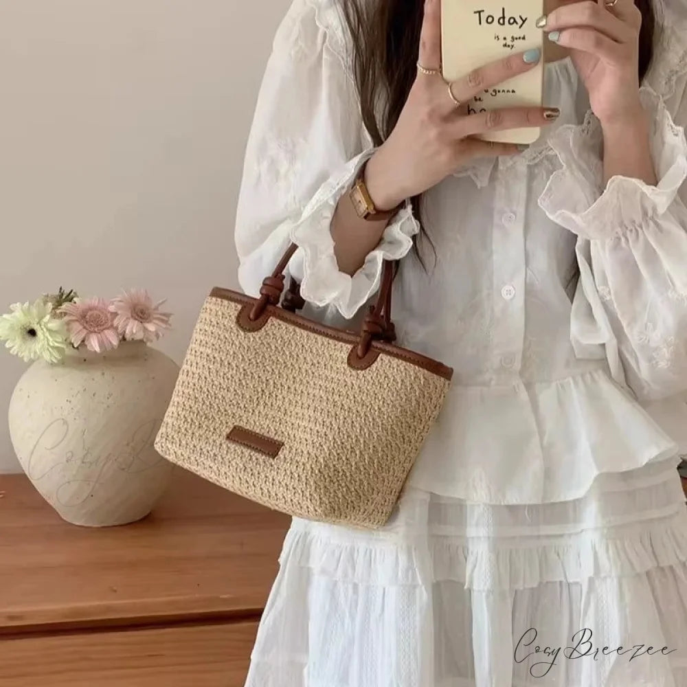 Woven Straw Summer Crossbody Bag Brown crossbody-250126