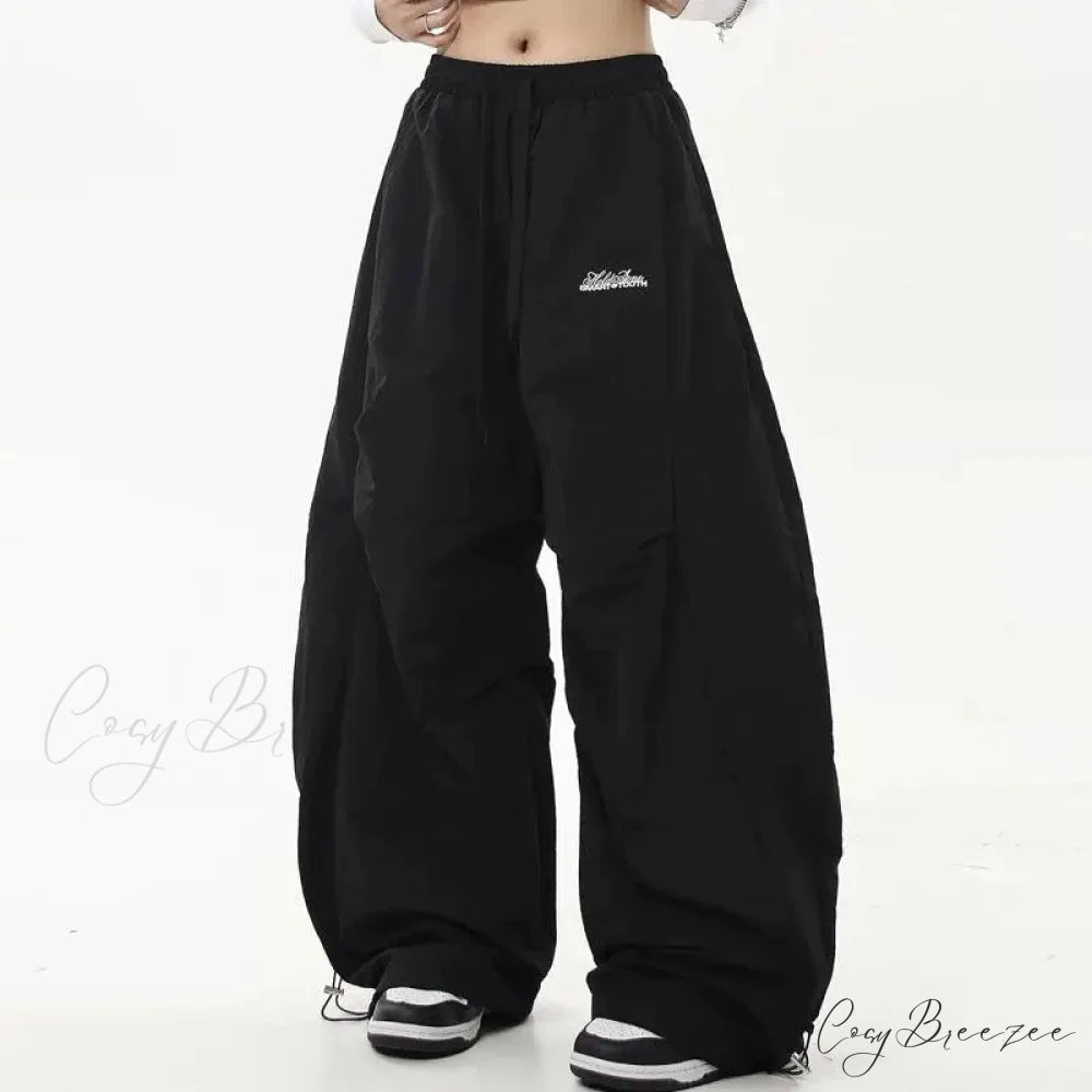 Y2K Harajuku Women Wide Leg Pants Black / S pants-241228