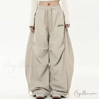 Y2K Harajuku Women Wide Leg Pants kaqi / S pants-241228